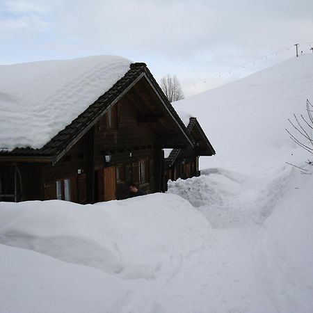Ferienwohnungen Im Blockhaus Metzler Schwarzenberg Exterior photo