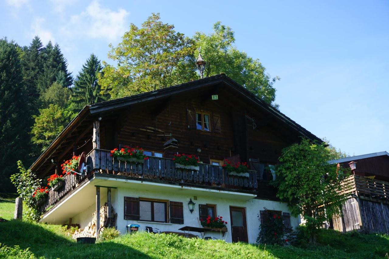 Ferienwohnungen Im Blockhaus Metzler Schwarzenberg Exterior photo