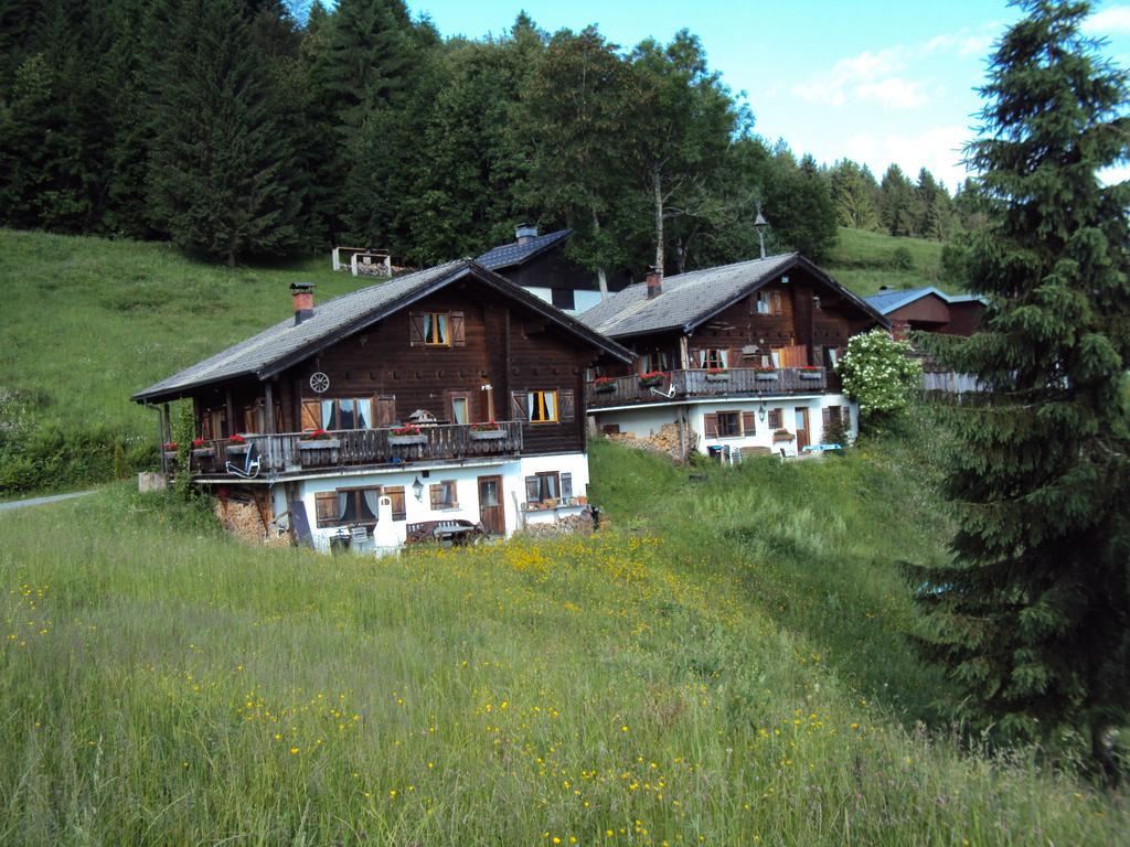 Ferienwohnungen Im Blockhaus Metzler Schwarzenberg Exterior photo