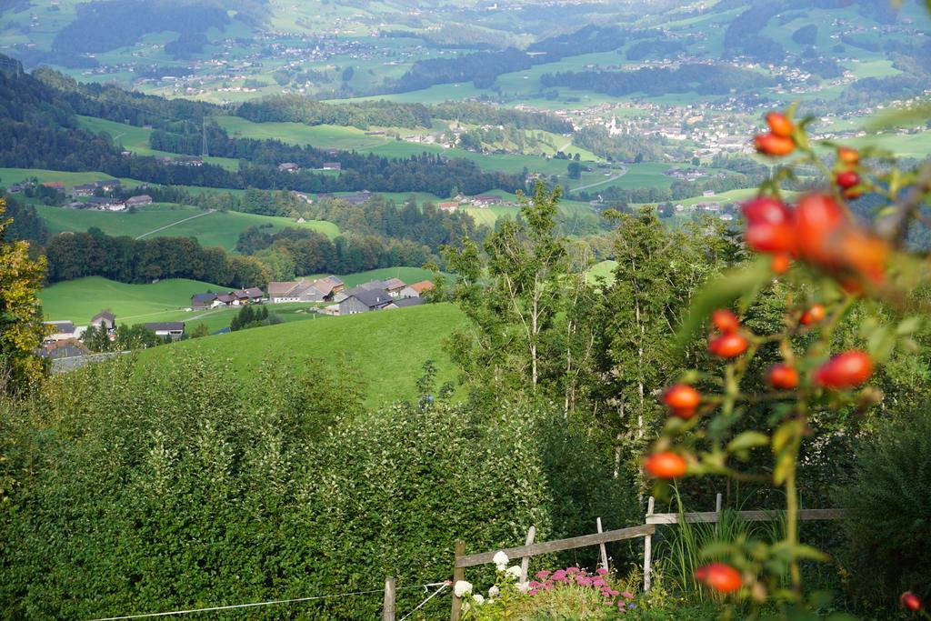 Ferienwohnungen Im Blockhaus Metzler Schwarzenberg Exterior photo