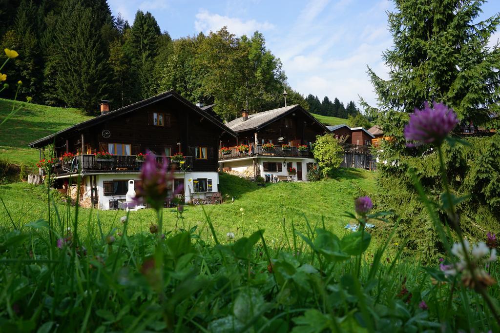 Ferienwohnungen Im Blockhaus Metzler Schwarzenberg Exterior photo